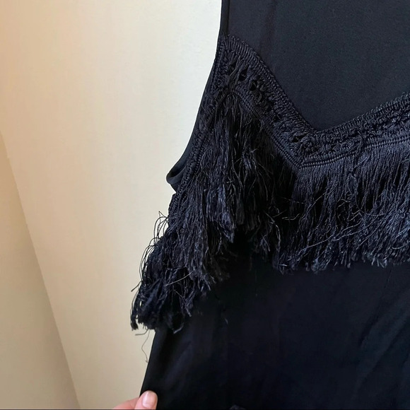 Theory Flapper Fringe Dress, size 6 - Picture 6 of 10